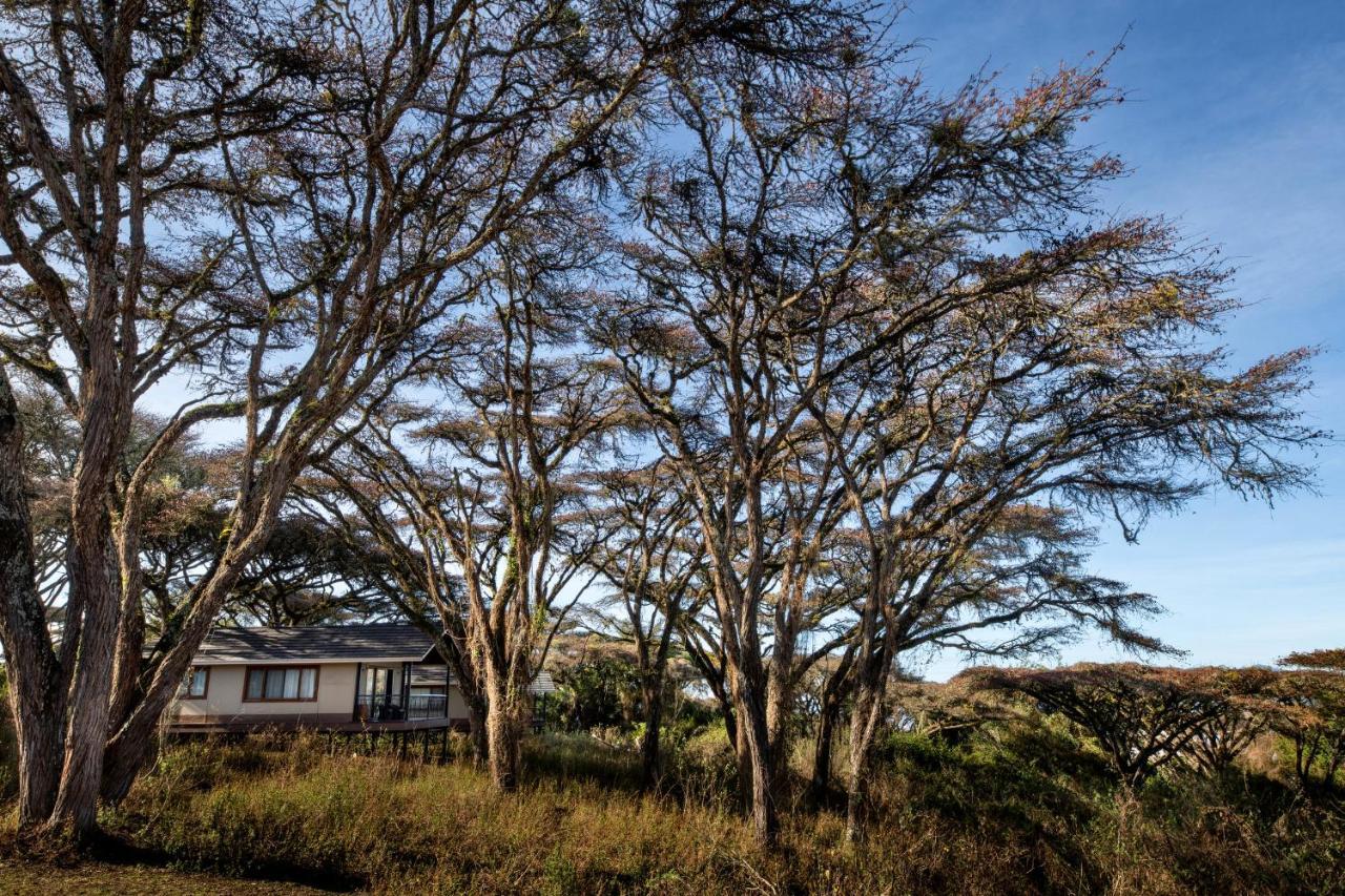 Hotel Lions Paw Ngorongoro Exterior foto